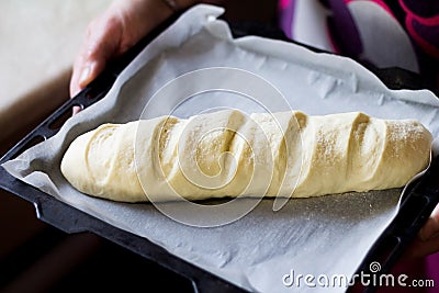 Formed yeast dough for long loaf bread with scores Stock Photo